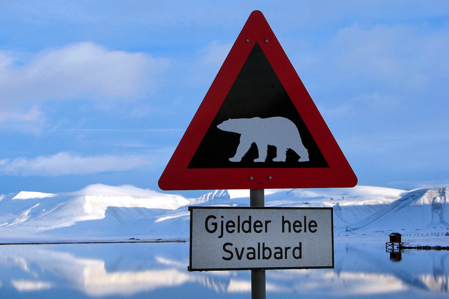 Et veiskilt utenfor Longyearbyen advarer om fare for å møte isbjørn, og at det «gjelder hele Svalbard». På grunn av klimaendringer og mangelen på havis i en varmere verden er de 3 000 isbjørnene på Svalbard, men også andre steder, meget sårbare. Foto: Mike Goad/Flickr.